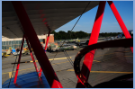DSC_0017.jpg