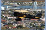 DSC_0041.jpg