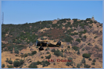 DSC_0314.jpg